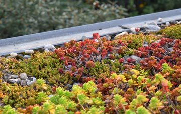 the cost of Bragbury End green roof installation