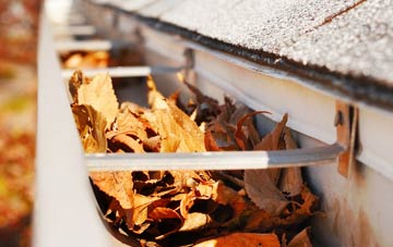 Bragbury End gutter cleaning companies