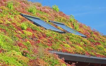 Bragbury End living roof systems