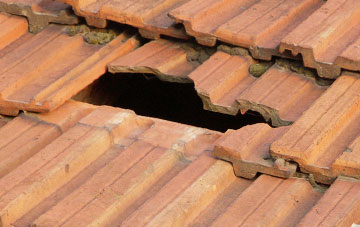roof repair Bragbury End, Hertfordshire